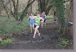 Begles 15.12.13 01 1043 * 679 x 453 * (179KB)